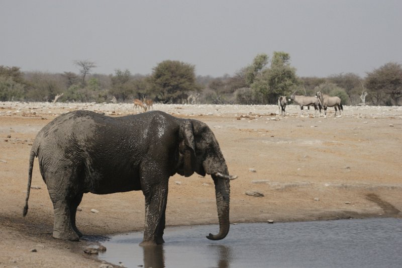 c_2015_08_29 10_57_27_715